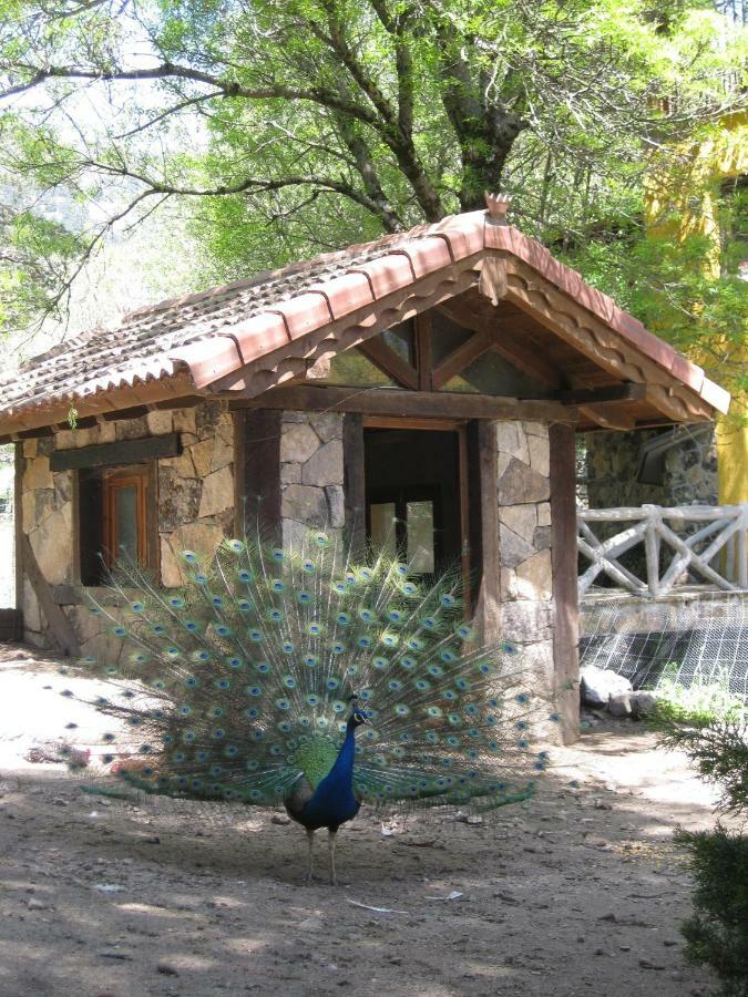 Hotel Rural Los Frutales Cercedilla Exterior photo